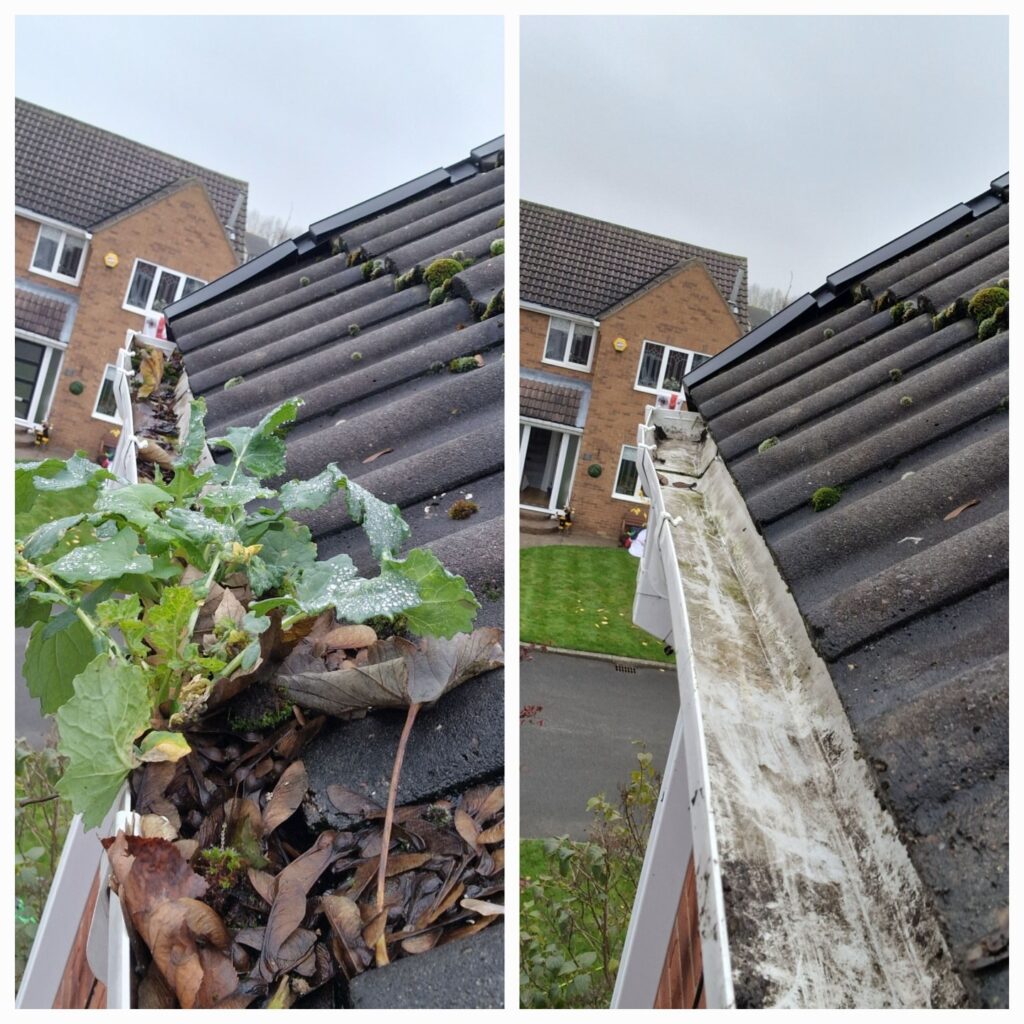 481959643_1185629326900661_4790514422187308227_n