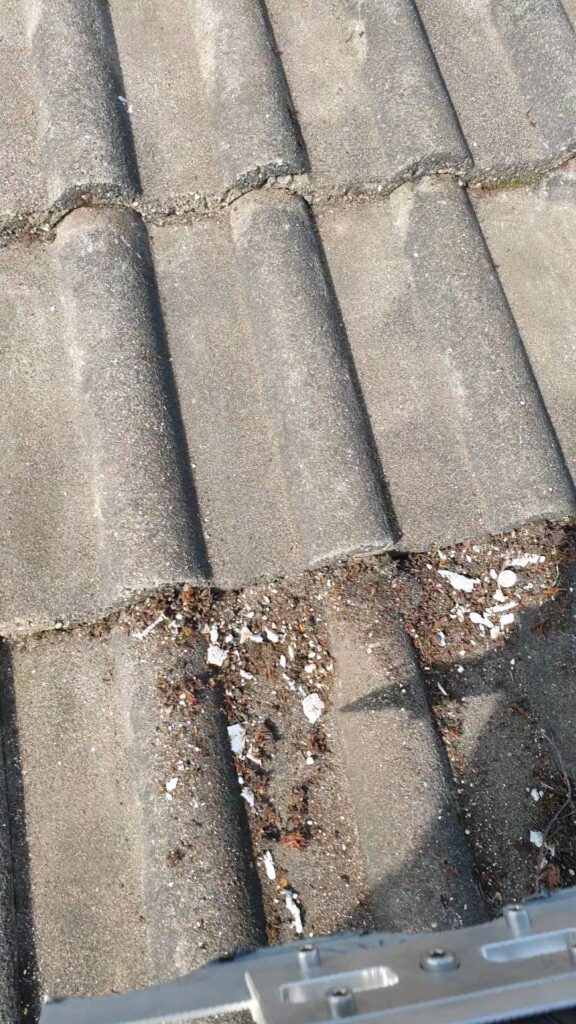 497409808_1351284896139394_1031571140875807226_n